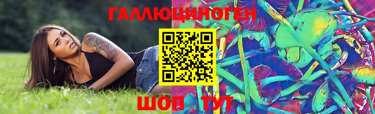 Галлюциногенные грибы Cubensis Ефремов