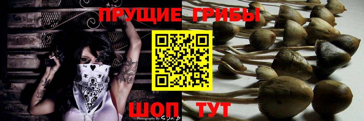 Галлюциногенные грибы прущие грибы  Вход с VPN  Ефремов 